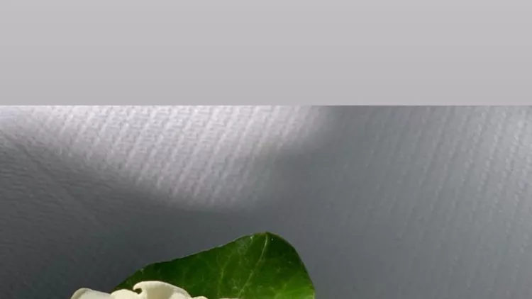 katken