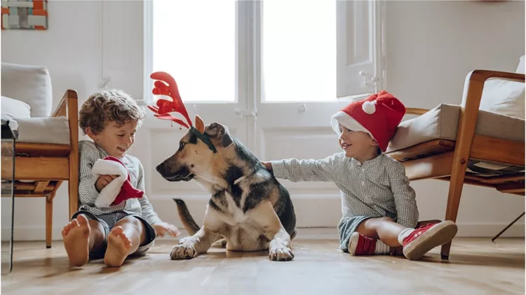 boys-wearing-chritmas-hats-playing-with-dogs-picture-id1181009492(1)