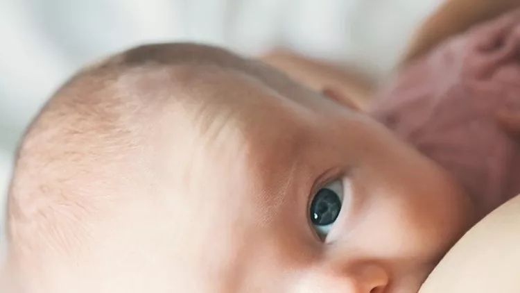 iStock-869138616