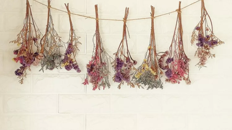 dried αποξηραμένα λουλούδια άνοιξη λουλούδιαhanging on the wall.It decoration wall of living room