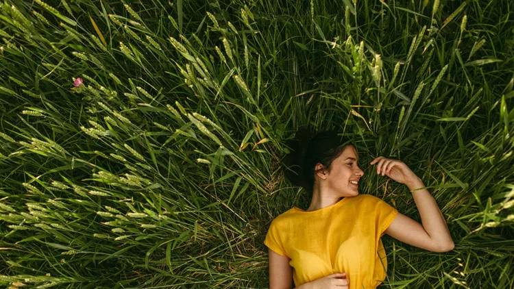 In the meadow