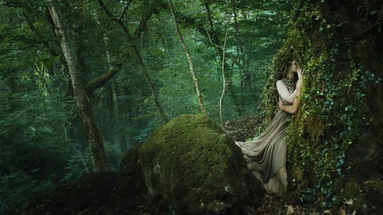 4d458f85db214874a7c7b2a7659c4476