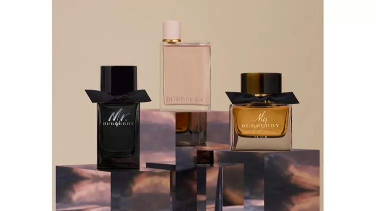 9ac64a9fe1884d65ae07ecb0951e7a40