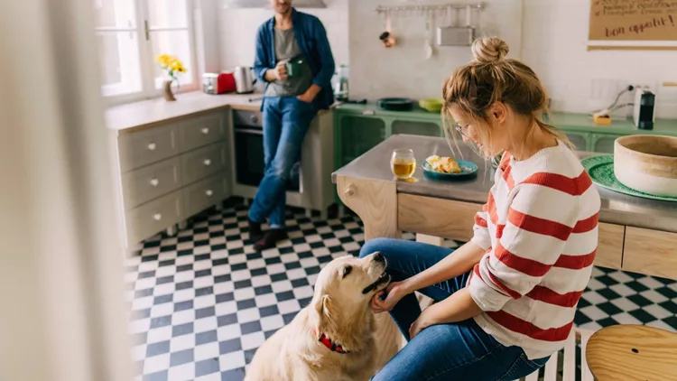 Morning in the kitchen with our dog