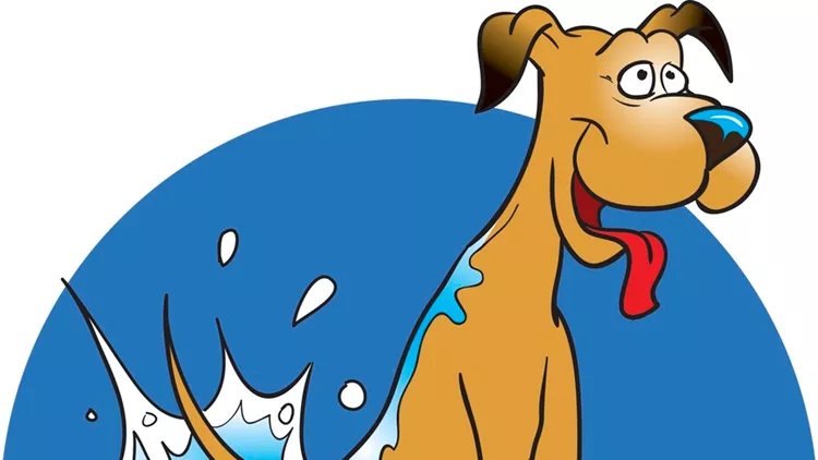 Dog taking a bath