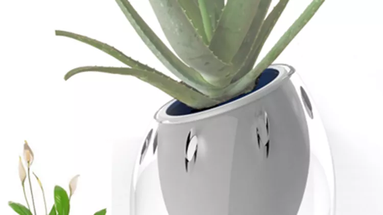 ecogadget