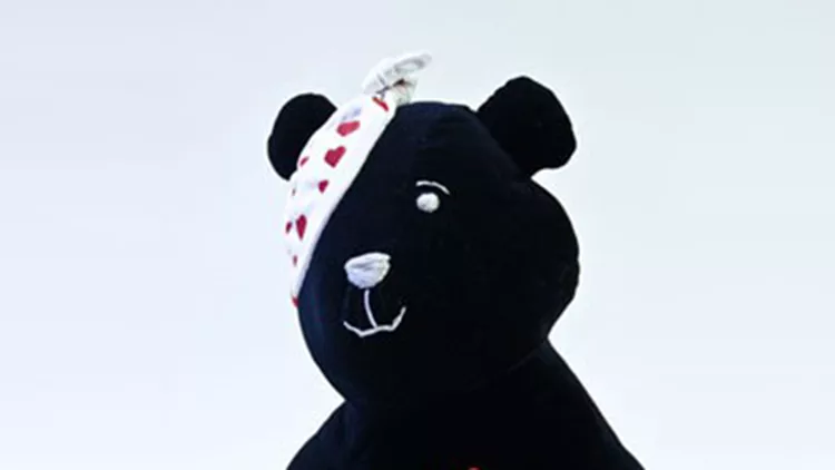 alexabear