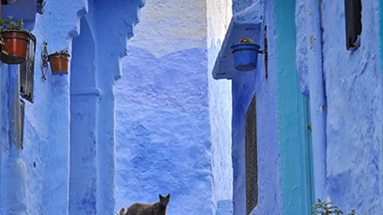 Chefchaouen: το μπλε χωριό του Μαρόκου