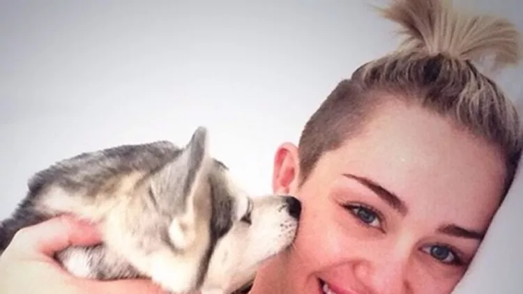 Η Miley Curys δείχνει τη γλυκιά της πλευρά στις selfies της με το νέο της κουτάβι.