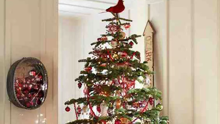 Χριστούγεννα 2014: 12+1 home tips για τα «γιορτινά» προβλήματα