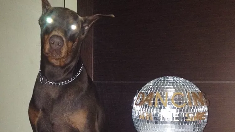 Dancing with the Stars 5: H μεγάλη νικήτρια και οι social media φωτογραφίες της βραδιάς