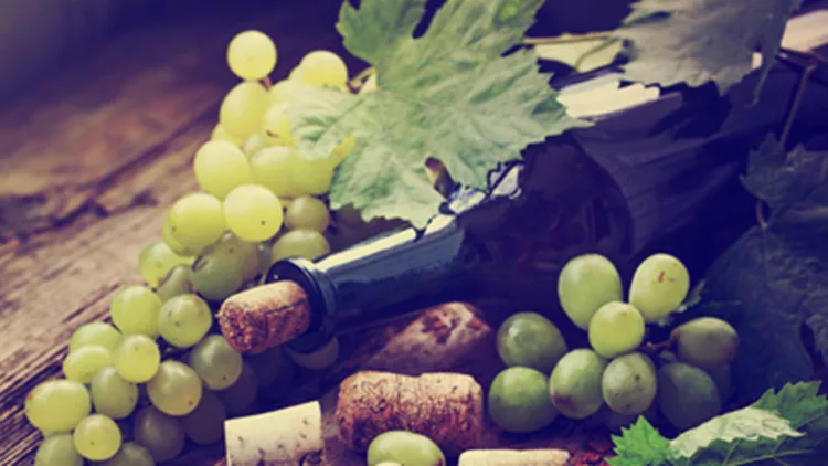 Που θα βρεις όλα τα όλα τα κρασιά της Κάβα Ανθίδης με έκπτωση 15%