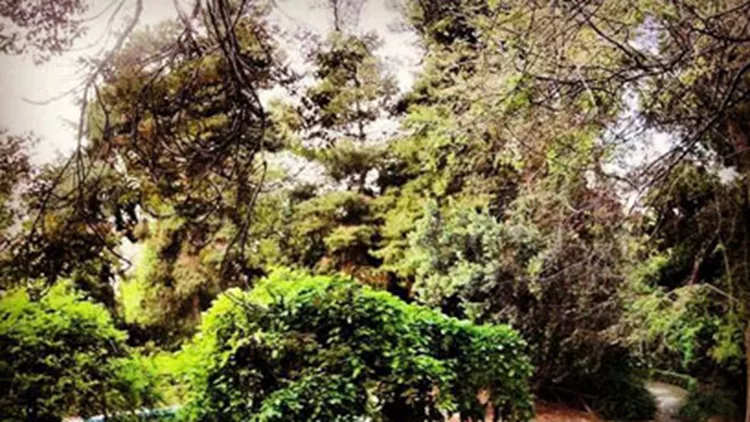 Το Wake Up Street σε σηκώνει νωρίς από το κρεβάτι και σε γυμνάζει δωρεάν 