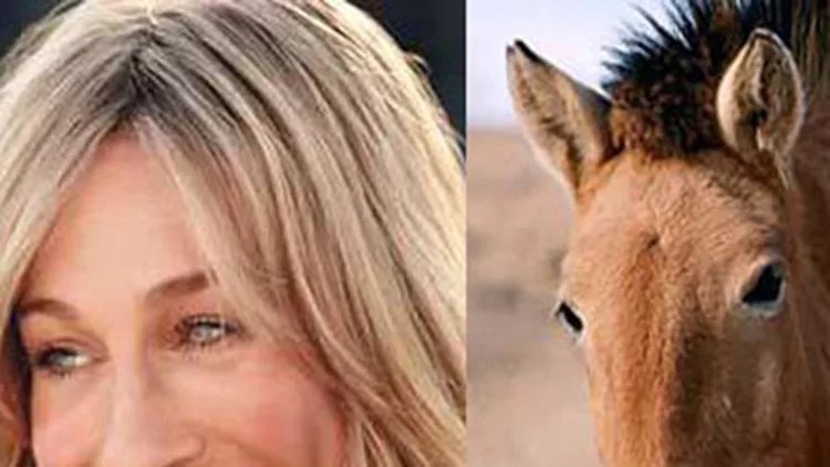 Υπάρχει ένα site που παρομοιάζει τη Sarah Jessica Parker με άλογο