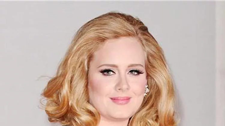 adeleproblimaalkoolismou