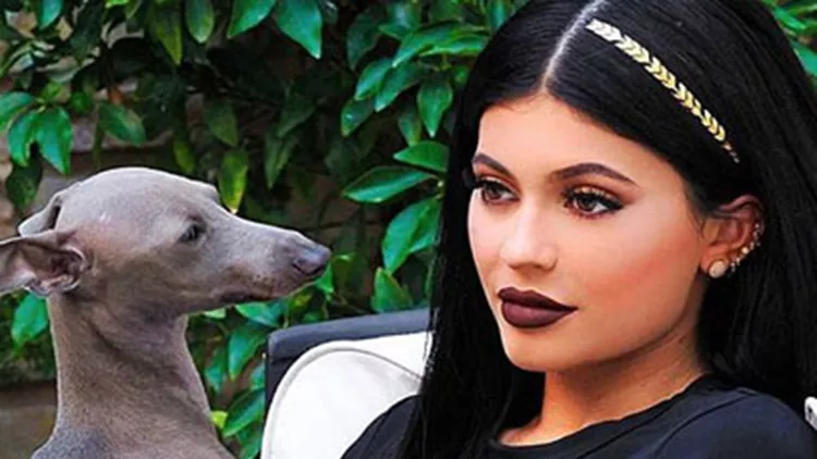 Tattoo για μαλλιά: Το νέο hot trend που πρέπει να υιοθετήσεις τώρα