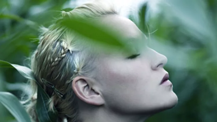 Η L'Oréal αναγνωρίστηκε από το CDP ως κορυφαία εταιρεία στην καταπολέμηση της κλιματικής αλλαγής