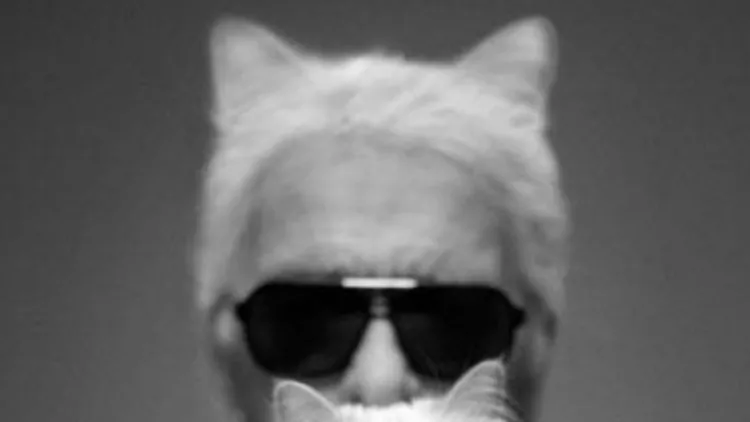 Η γάτα του Karl Lagerfeld μπροστά από τις κάμερες
