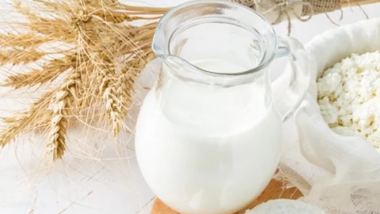 Δυσανεξία στη λακτόζη; 10 τρόφιμα για να τη διαχειριστείς στη διατροφή σου