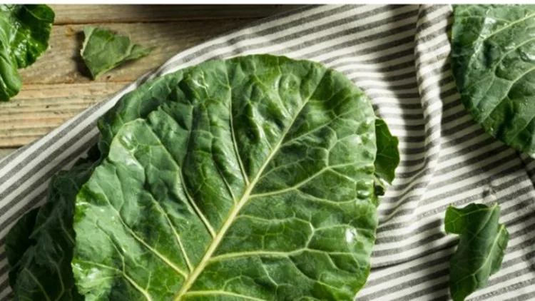 Τρως kale; Οι 5 πιο συχνοί τύποι της λαχανίδας και πώς να τους καταναλώσεις καλύτερα