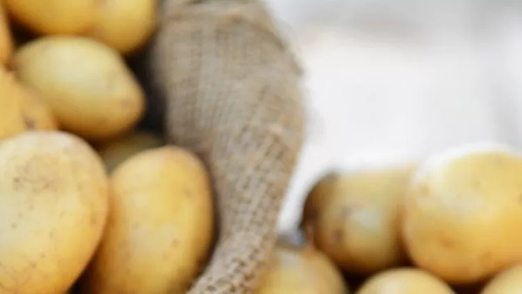 5 τρόφιμα που τρώμε με λάθος τρόπο και τι ακριβώς σημαίνει αυτό