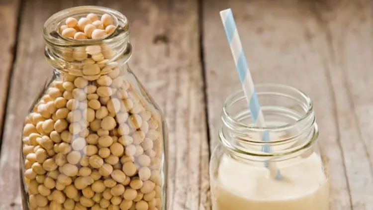 10 εναλλακτικές πηγές προβιοτικών για vegan (Τουλάχιστον τις 3 δεν τις έχεις ξανακούσει)