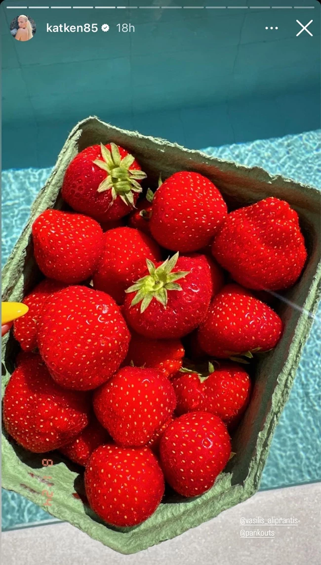 fruit