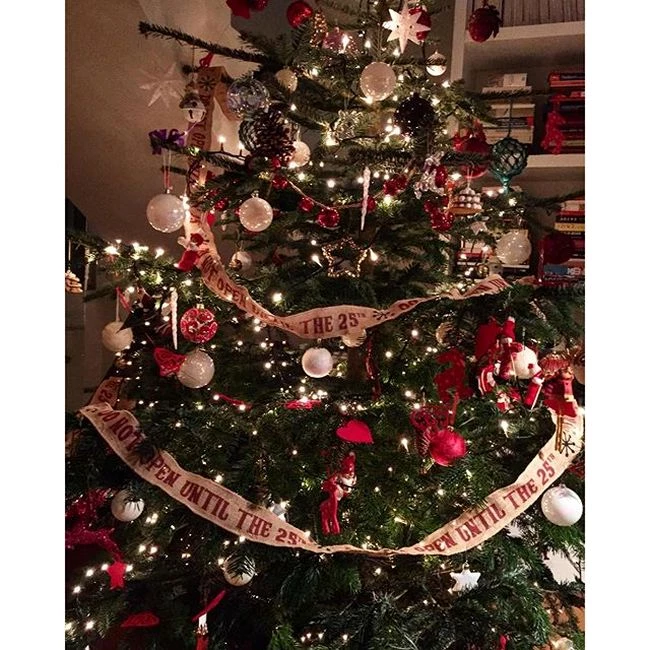 Βίκυ Καγιά: Στόλισε το Χριστουγεννιάτικο δέντρο της