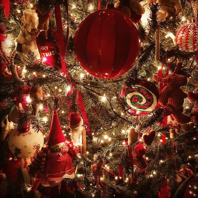 Τζένη Μπαλατσινού: Το χριστουγεννιάτικο δέντρο που στόλισε στο σπίτι της!
