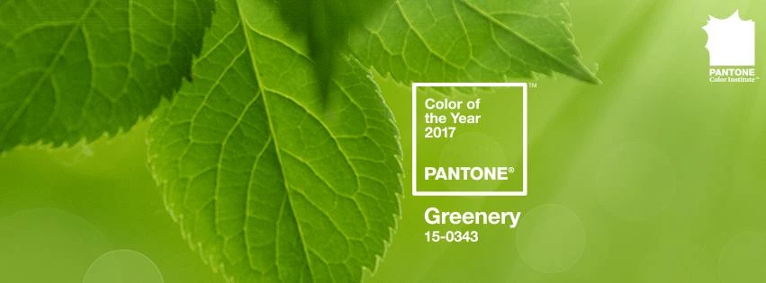Pantone: Αυτό είναι το χρώμα του 2017!