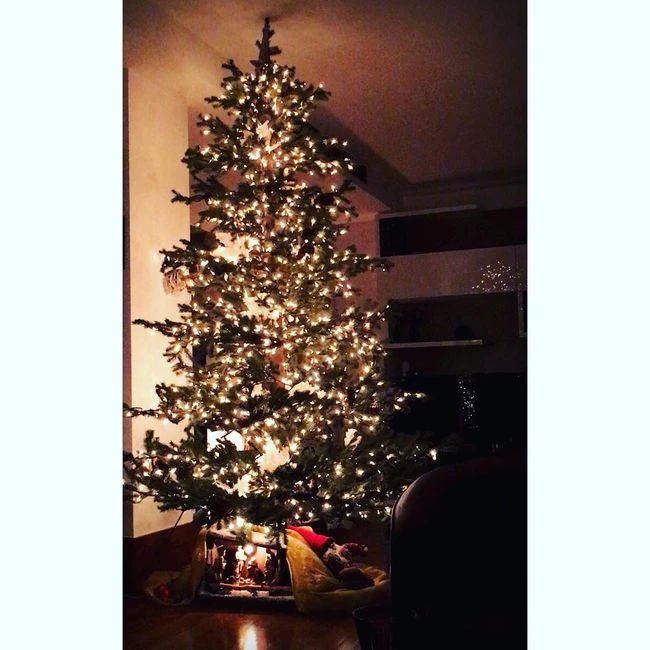 Ζέτα Μακρυπούλια - Μιχάλης Χατζηγιάννης: Δες το χριστουγεννιάτικο δέντρο τους