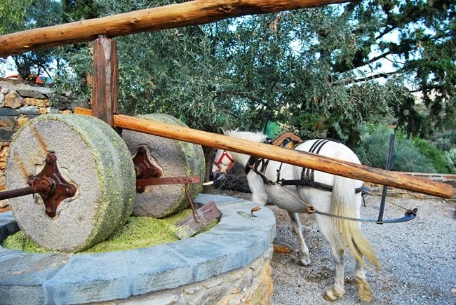 Κτήμα Kinsterna: Σου βρήκαμε που θα περάσεις την 28η Οκτωβρίου!