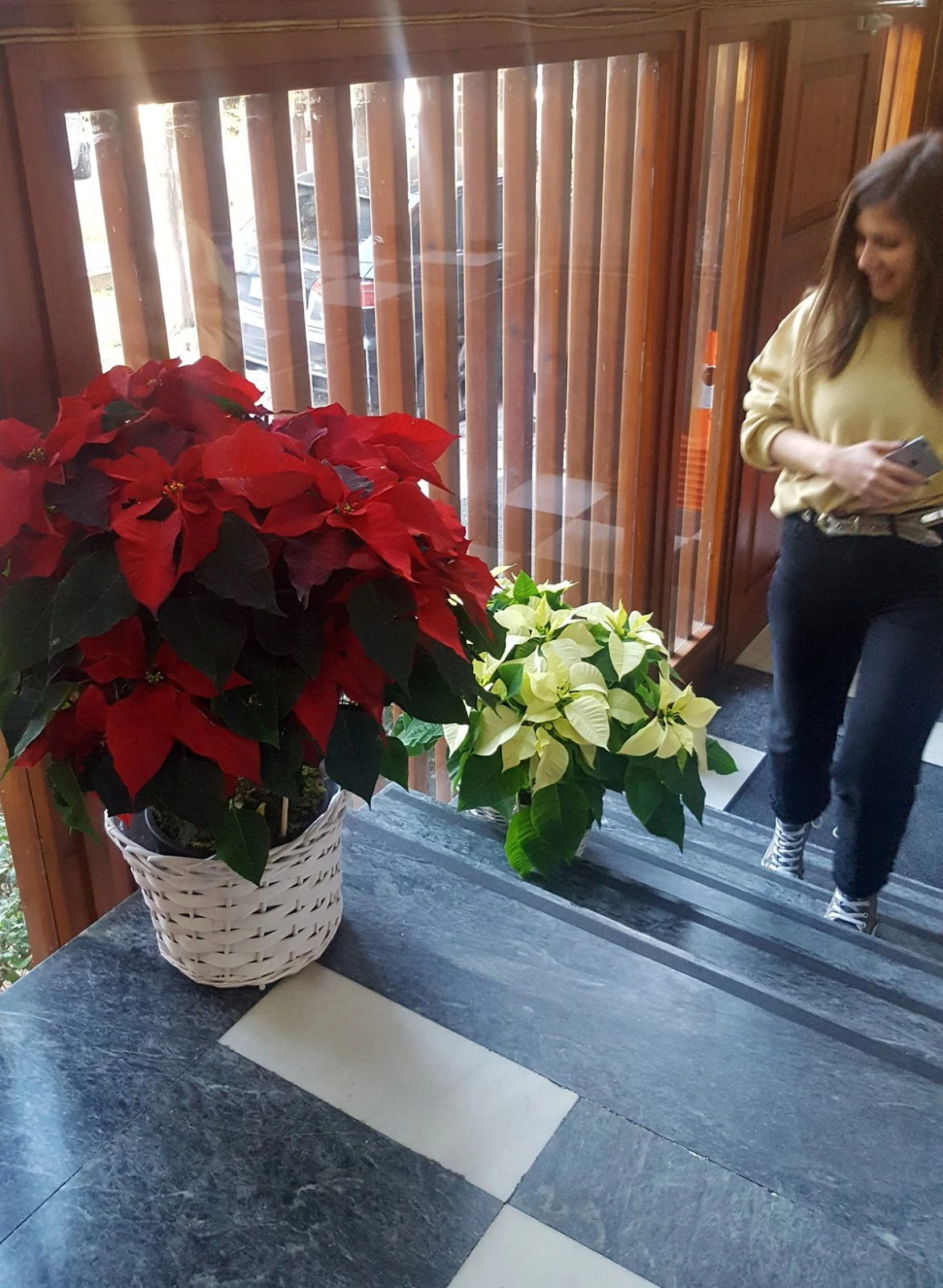 Αλεξανδρινό | 3 εύκολες ιδέες για διακόσμηση με πρωταγωνιστή το λουλούδι των Χριστουγέννων! - εικόνα 2