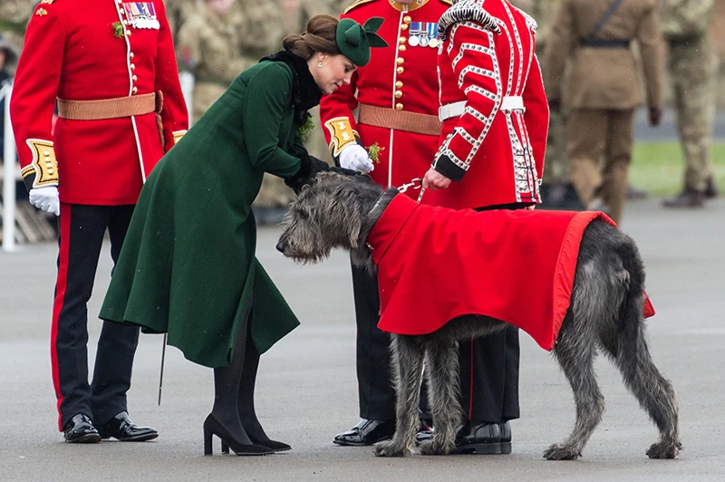 Kate Middleton | Με πράσινο σύνολο για την Ημέρα του Αγ. Πατρικίου! - εικόνα 2