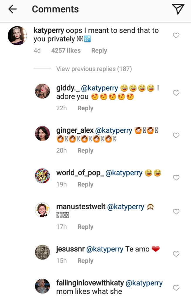 Katy Perry | Δημοσίευσε κατά λάθος ένα "ακατάλληλο" μήνυμα στο Instagram! - εικόνα 2