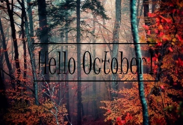Hello October μέσα από 22 εικόνες, σε ένα μανιφέστο καλής ενέργειας - εικόνα 16