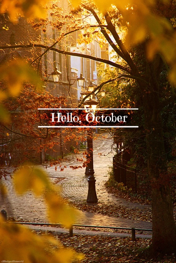 Hello October μέσα από 22 εικόνες, σε ένα μανιφέστο καλής ενέργειας - εικόνα 19