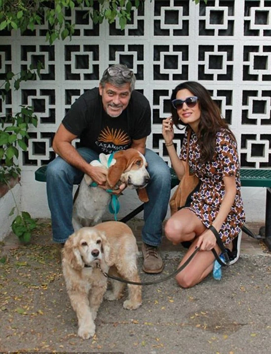 George & Amal Clooney: Γνώρισε το νέο μέλος της οικογένειάς τους - εικόνα 2