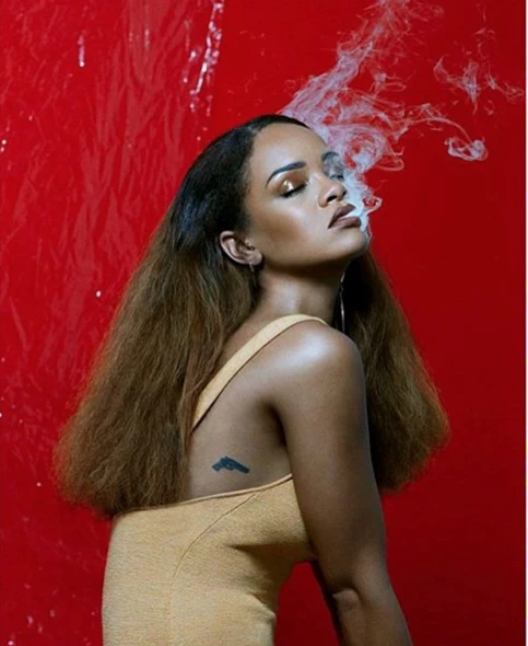 Rihanna: Αυτο-φωτογραφίζεται με το...νυχτικό της για το περιοδικο Fader - εικόνα 8