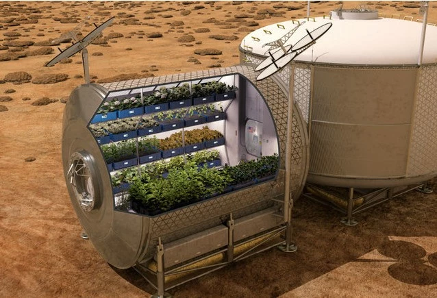 Αστροναύτες μεγαλώνουν τα πρώτα βρώσιμα λαχανικά στο διάστημα
