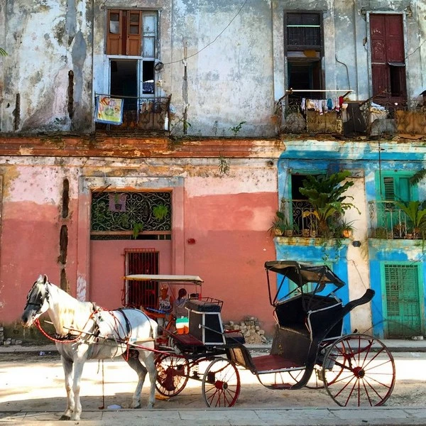 Νίκος Αλιάγας: Στιγμιότυπα από το ταξίδι του στην Κούβα - εικόνα 5