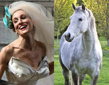 Υπάρχει ένα site που παρομοιάζει τη Sarah Jessica Parker με άλογο!