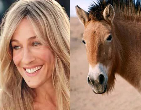 Υπάρχει ένα site που παρομοιάζει τη Sarah Jessica Parker με άλογο! - εικόνα 3
