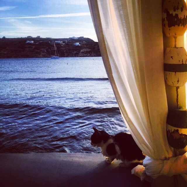 Μαρία Μπεκατώρου: Στη Σύρο, με τραγούδι και αστείες φωτογραφίες - εικόνα 2