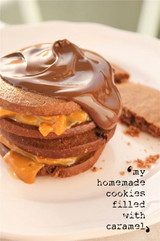 Συνταγές με σοκολάτα | Σπιτική πραλίνα, μπισκότα σοκολάτας και μους σοκολάτας χωρίς αβγά - εικόνα 2