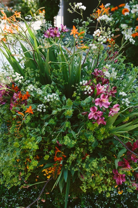 Gucci Flora: Ένας κήπος και μια νέα τσάντα για το περίφημο μοτίβο - εικόνα 5