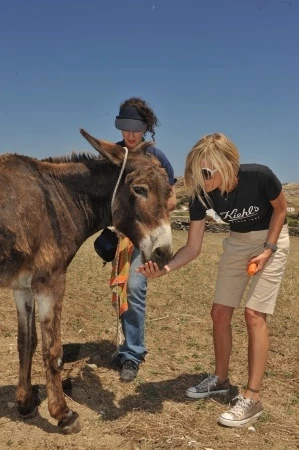 Save the Donkey από την Kiehl's στη Μύκονο - εικόνα 5
