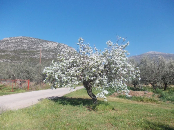 Γράμμα Νο 12: Το ταξίδι της Σάντυ Κουτσοσταμάτη και τα μαθήματα ζωής - εικόνα 8