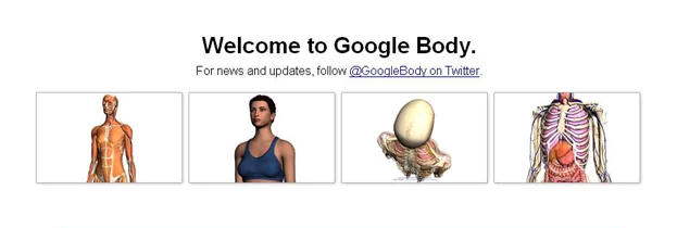 Δες το σώμα σου 3D με το νέο Google εργαλείο
